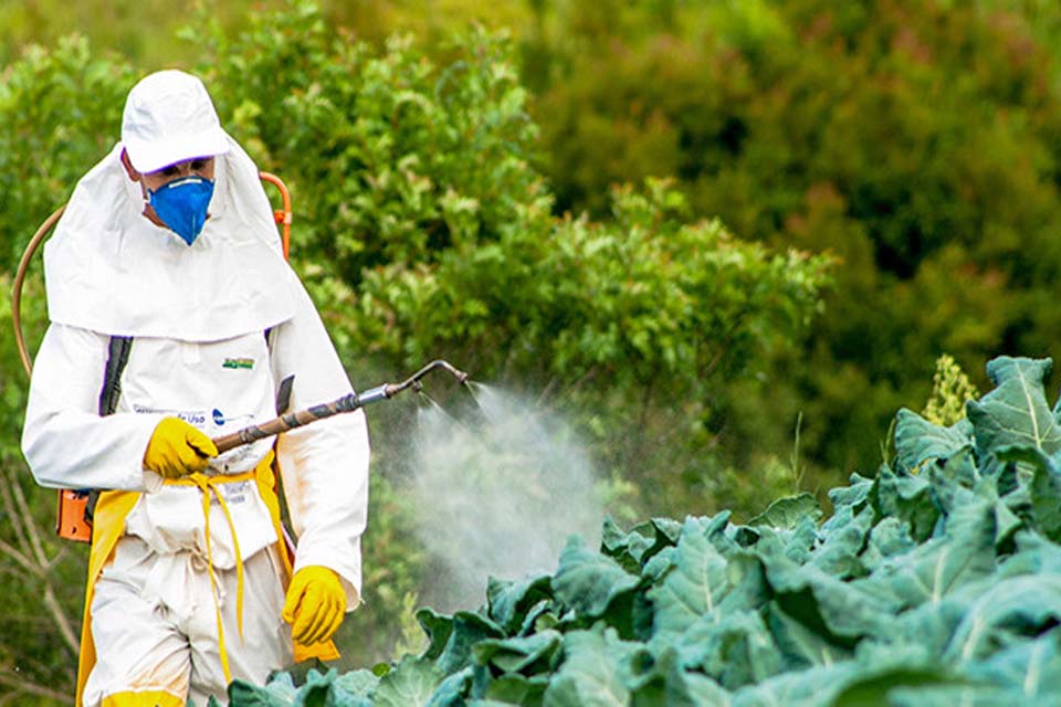  Catalonia calls for battle against an invading bedbug